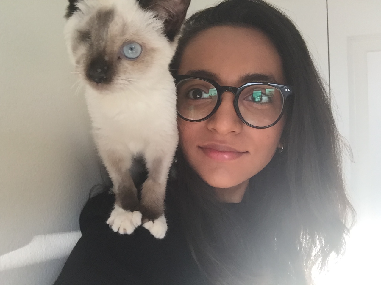 Senior Designer Maysoon acts as a perch for her stunning cat, Christopher.