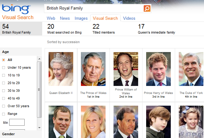 Bing Visual Search results