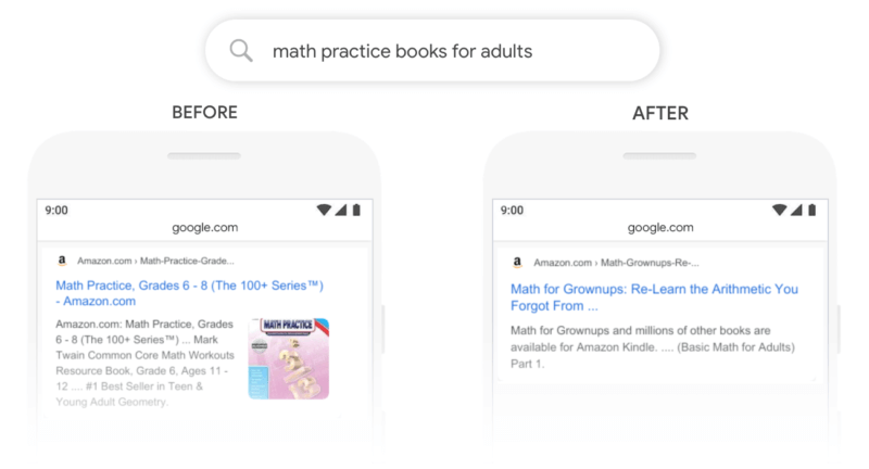 BERT example from Google: Math for grownups