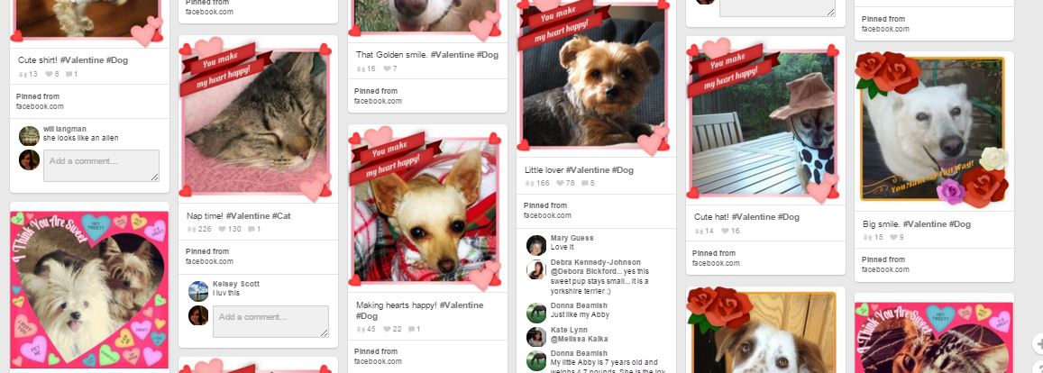 Hartz Valentines DAy Pins