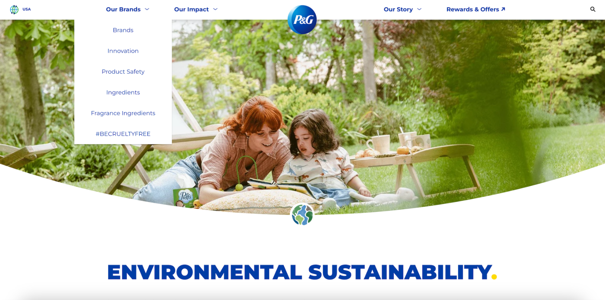 Multiple or single website screenshot example P&G