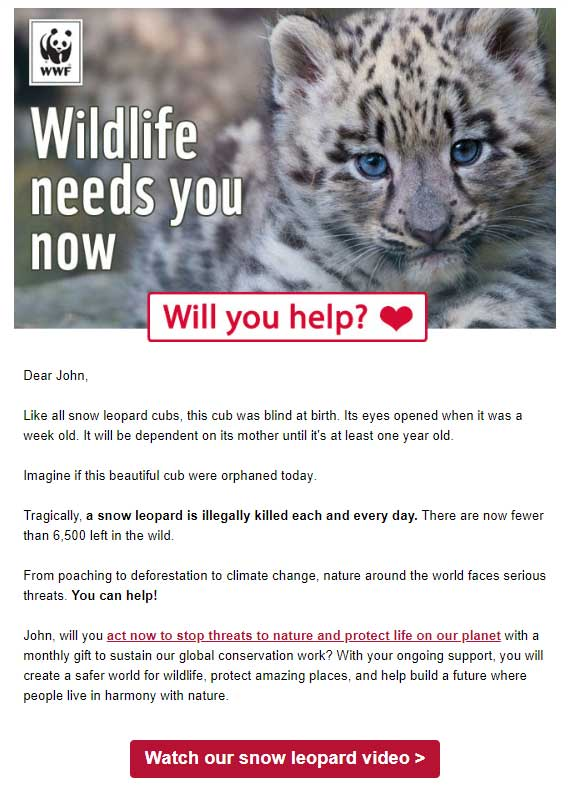 Nonprofit Email Examples to Inspire Your Supporters - WWF snow leopards