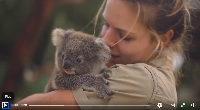 Social Marketing Campaigns Australia - Best of 'Animal' Compilation 2020
