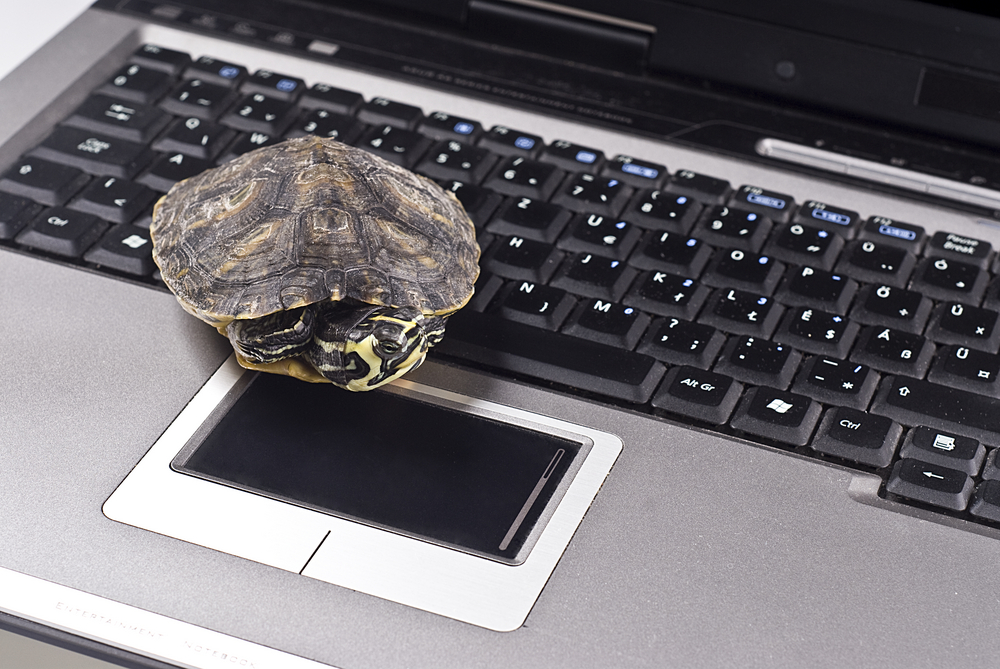 Google launched a new tool to help webmasters speed up their website content.