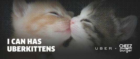 Uber and Cheezburger team up to deliver cats on demand through smart local and mobile marketing.