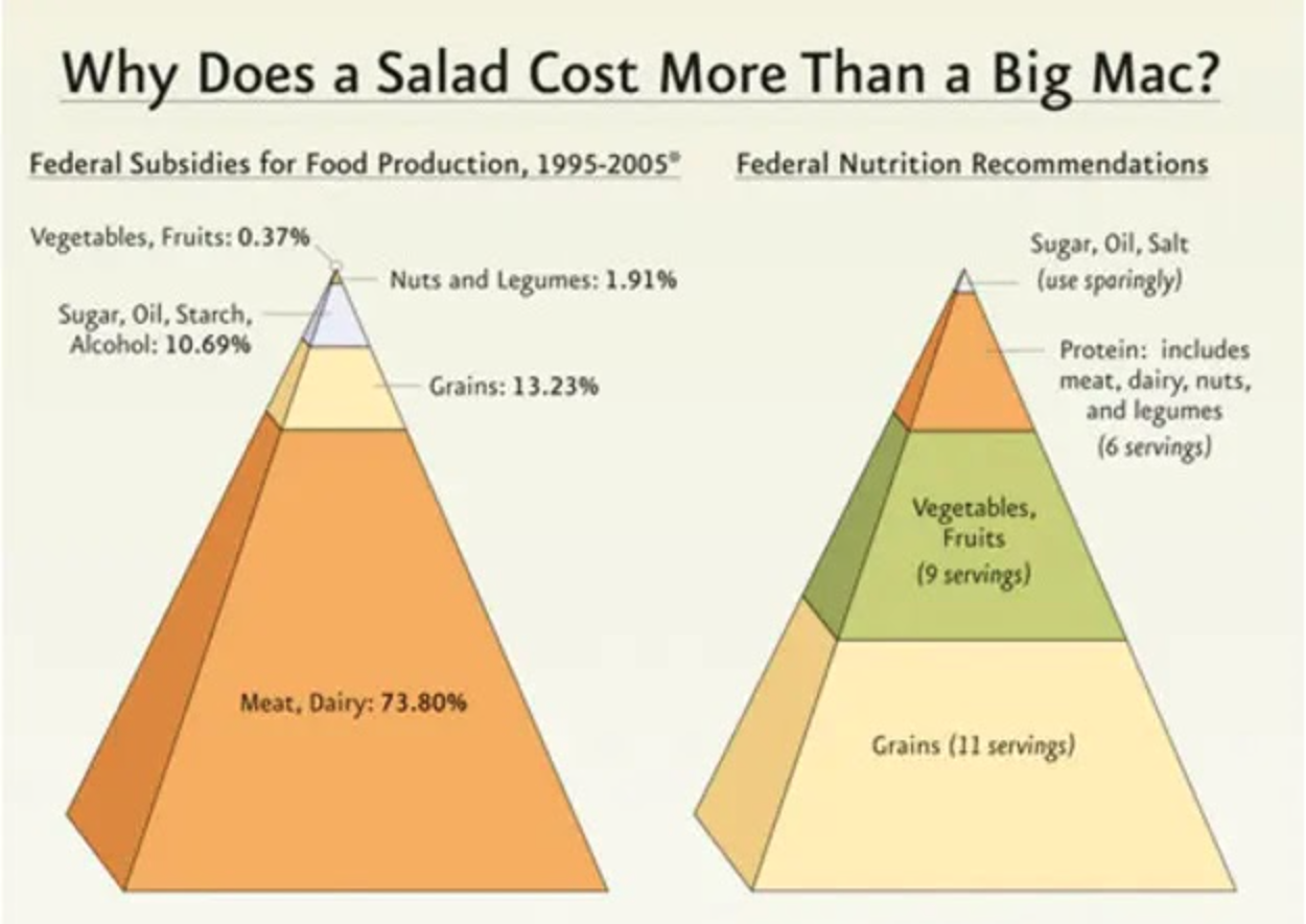 bad infographic example food pyramid