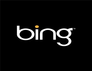 Bing has launched a People Recommendation feature.