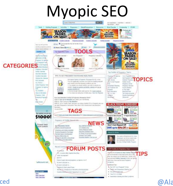 An example of a myopic SEO site.