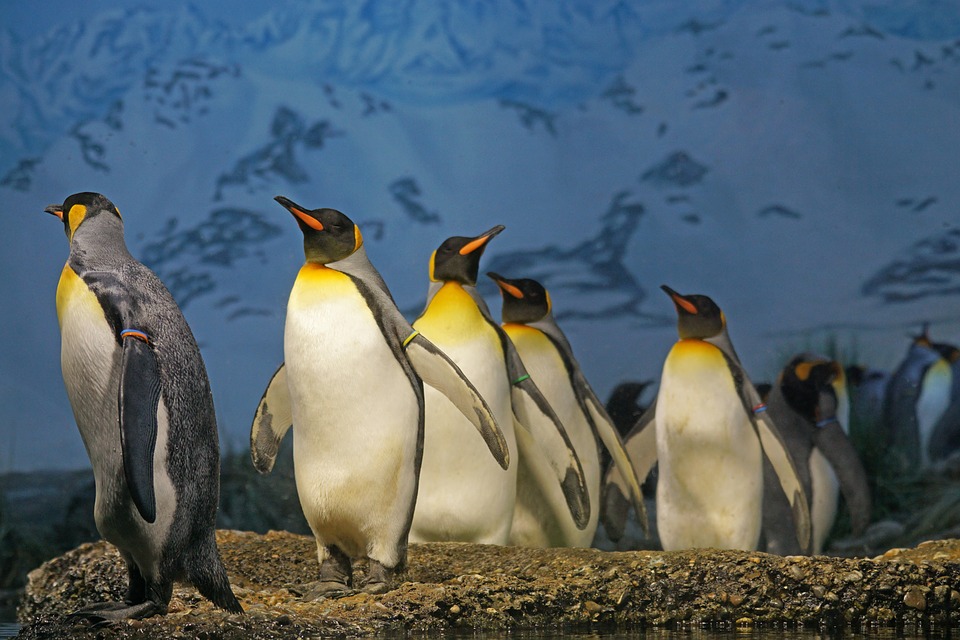 Penguin 4.0 is here. And now it's baked right into Google's main algorithm.