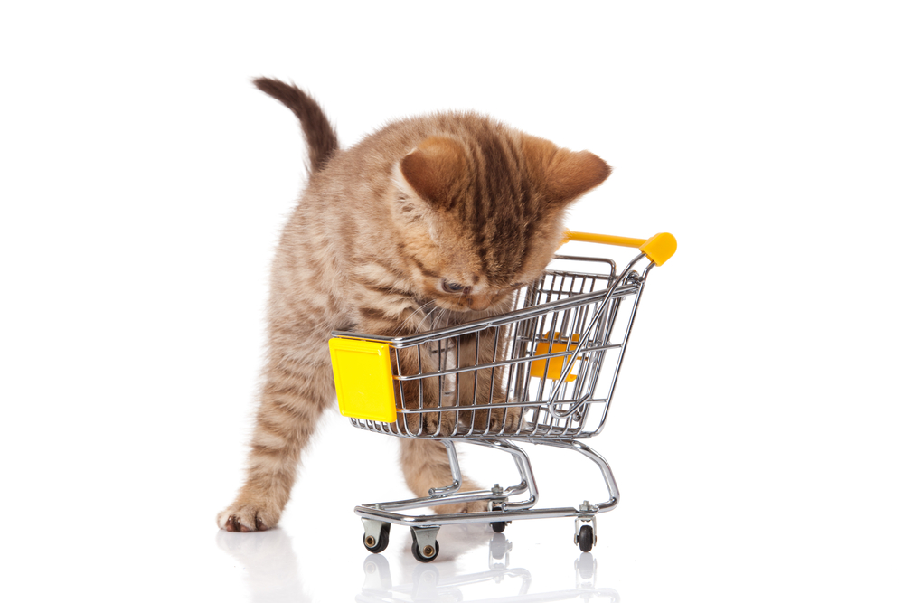 Shopping for Pets Online
