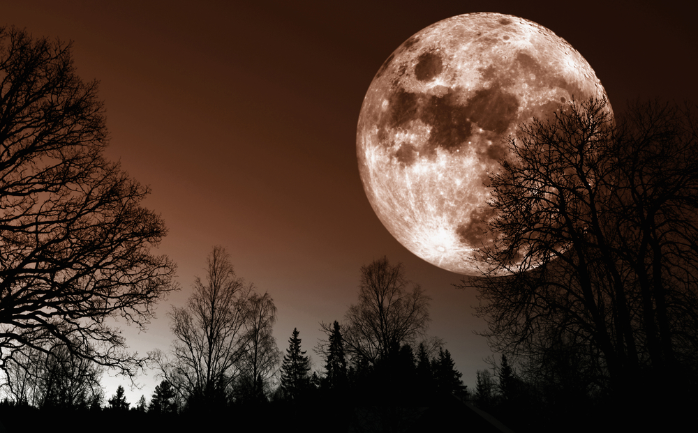 What is your Friday the 13th marketing fear? We're offering solutions.