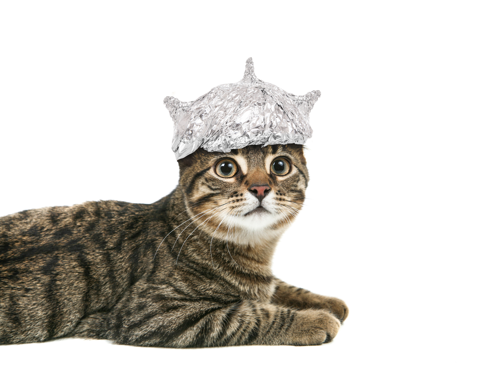 Understanding social media's impact on SEO doesn't require a tin foil hat.