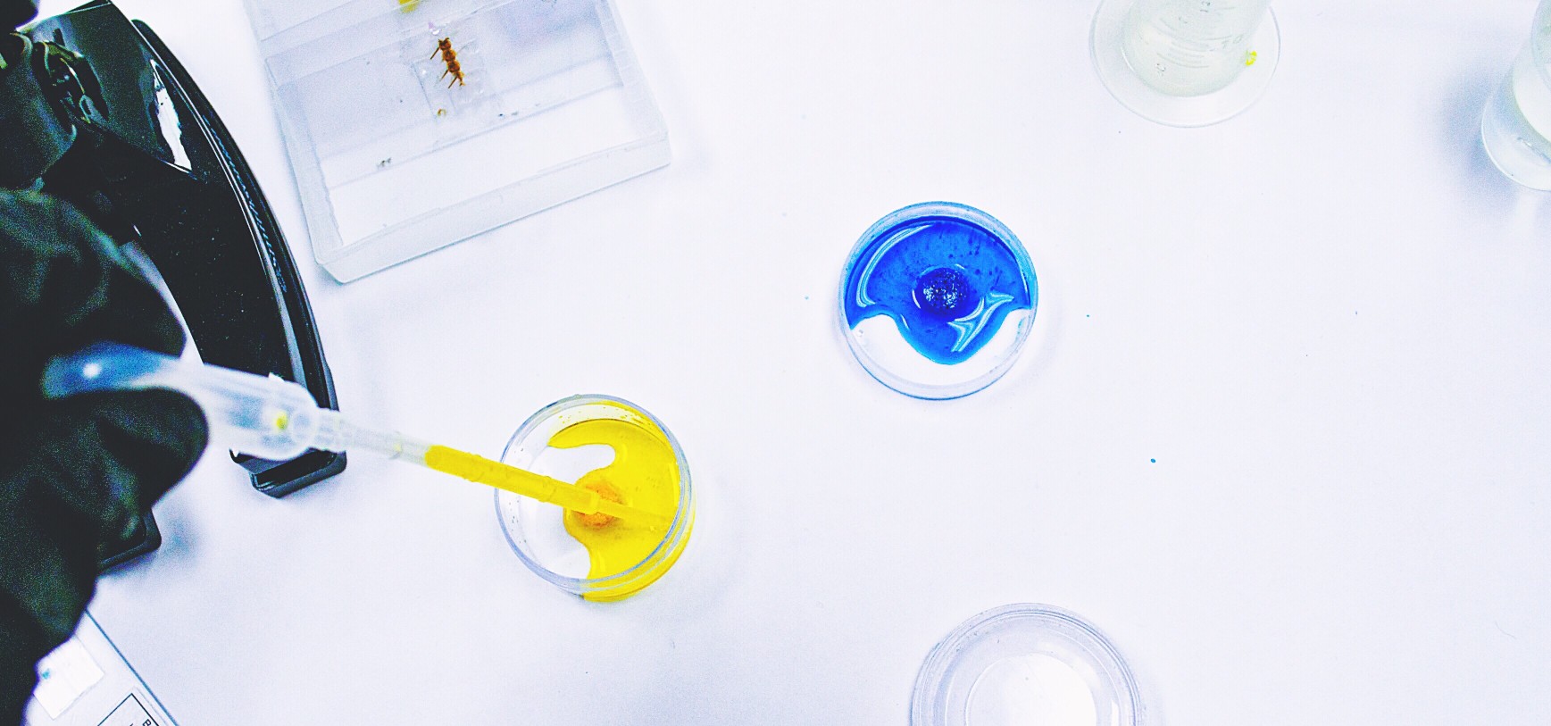 Experimenting with different options can lead to success.