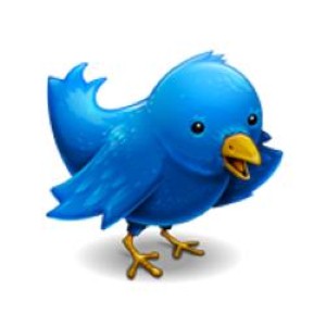 Businesses using social media marketing are struggling to use the data to inform other areas of their overall new media marketing strategies.