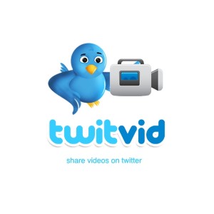 TwitVid is offering a SocialAd platform for tweeted video ads.