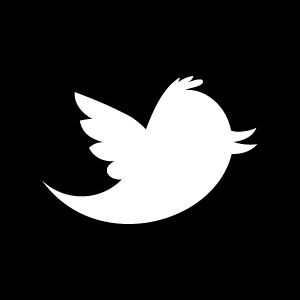 Twitter marketing is an effective way for brands to reach wide user demographics.